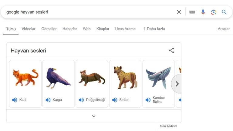 google hayvan sesleri menekse ozturk